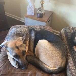 Meet your Posher, Raegan